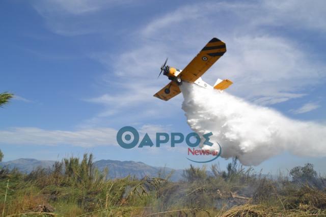 Υπό μερικό έλεγχο φωτιά στη Μεσσήνη που έκαψε 30 στρέμματα!