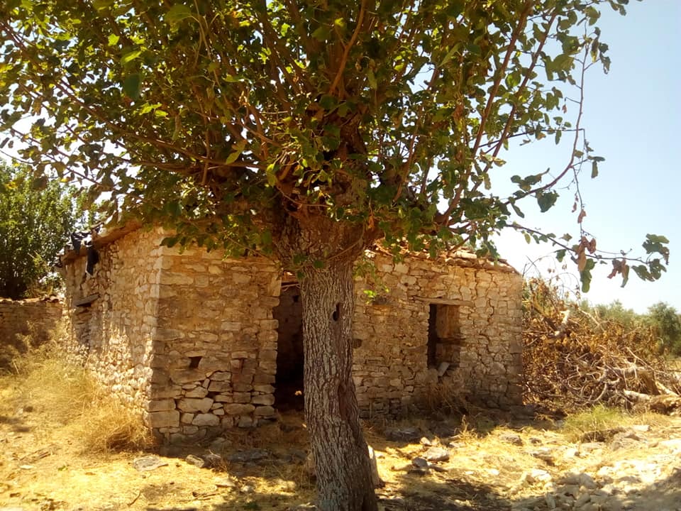 Αφιέρωμα στην αθέατη και λεηλατημένη  Άνω Δροσιά του Δήμου Μεσσήνης