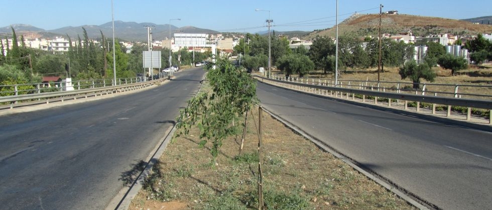 Μετωπική “γαλάζιων” στο δρόμο Καλαμάτας – Μεθώνης