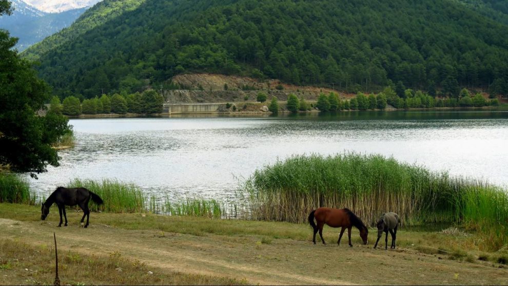 Εξόρμηση στη Λίμνη Δόξας με τον Ορειβατικό Σύλλογο Καλαμάτας