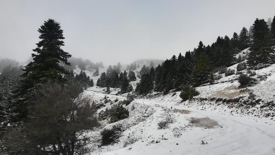 Έπεσαν τα πρώτα χιόνια!