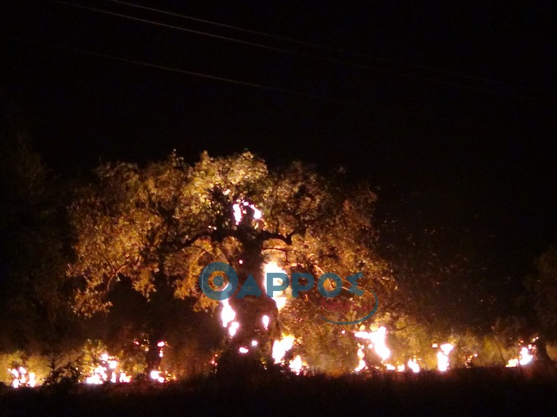 Και άλλη φωτιά στην Κυπαρισσία, κίνδυνος για ξενοδοχείο