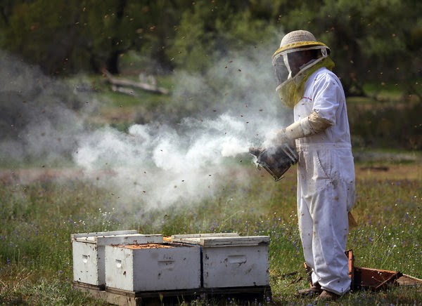 Ταχύρυθμο εκπαιδευτικό τριήμερο για μελισσοκόμους