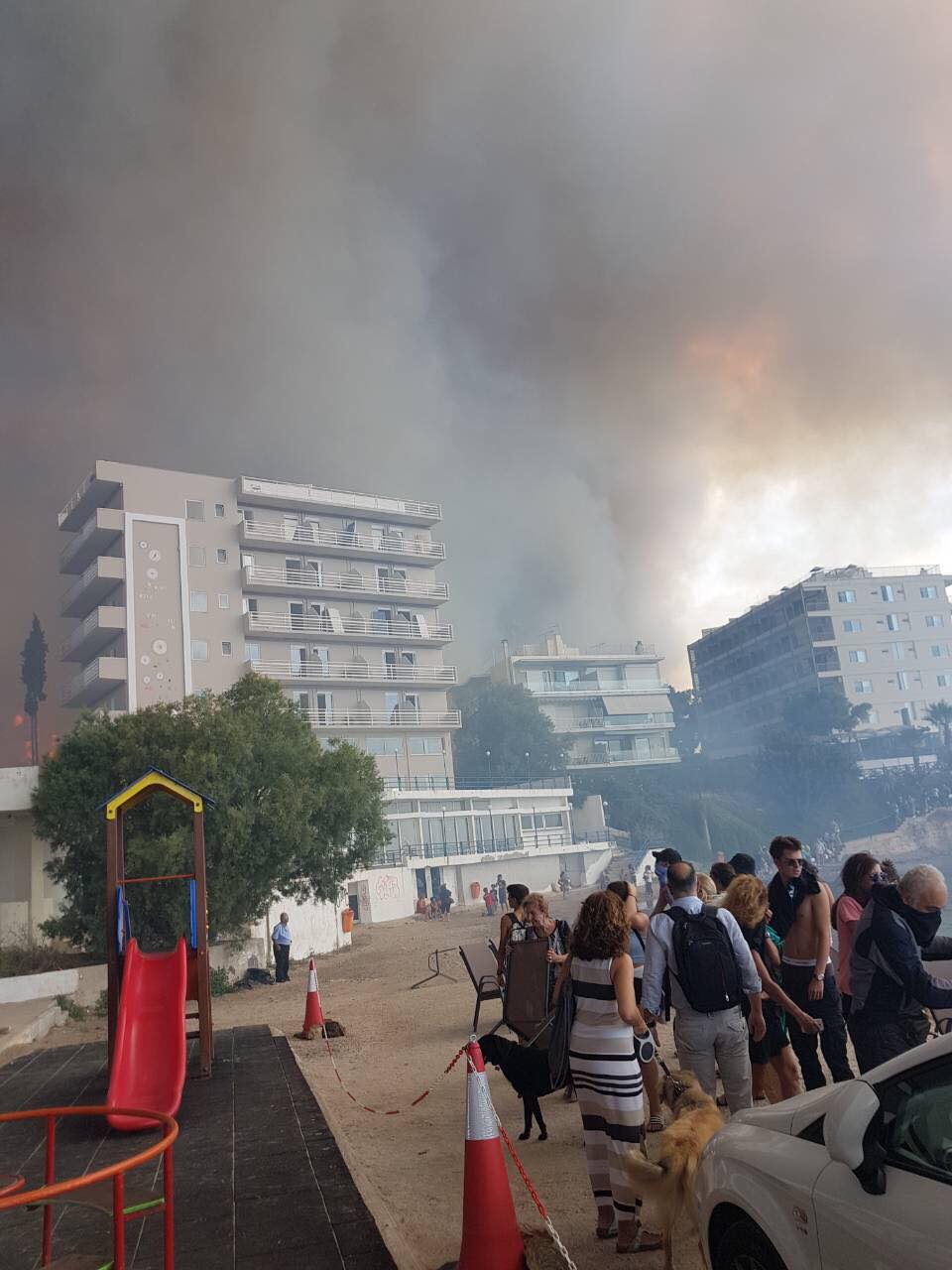 Το Σώμα Ελληνικού Οδηγισμού συγκεντρώνει είδη πρώτης ανάγκης στην Καλαμάτα