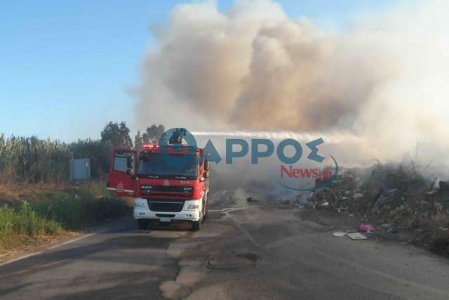 80 στρέμματα έκαψε η φωτιά στη Μικρομάνη – Ζημιές και σε γεωργικές εκτάσεις  (φωτογραφίες & βίντεο)