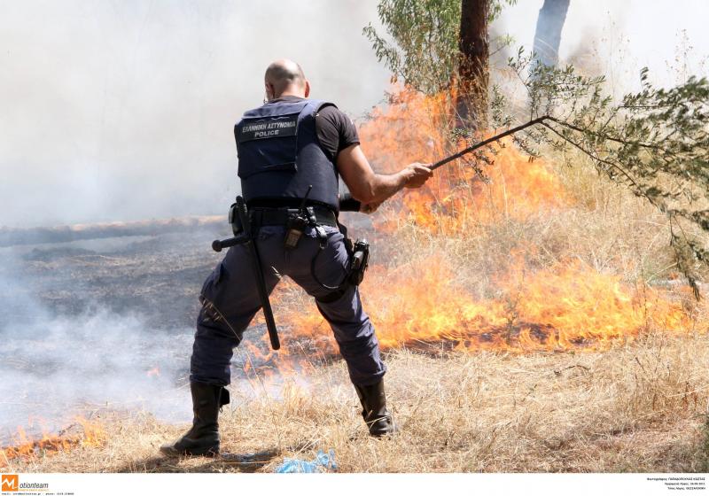 Για 85 εμπρησμούς στον Ταΰγετο  κατηγορείται ο 68χρονος βοσκός