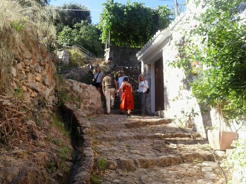 Πεζοπορία την Κυριακή στα παλιά  καλντερίμια της Βέργας