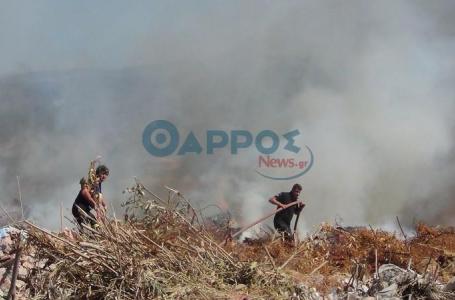 Ξέσπασαν φωτιές σε Αλαγονία και Στούπα