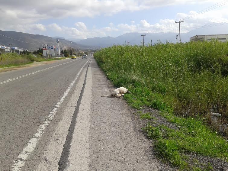 Ας το μαζέψει κάποιος