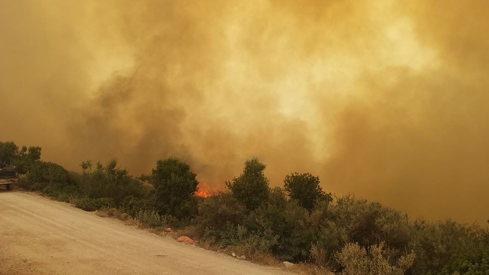 Μεγάλη φωτιά στην Πύλο, οι άνεμοι σύμμαχοι με τις φλόγες (φωτογραφίες)