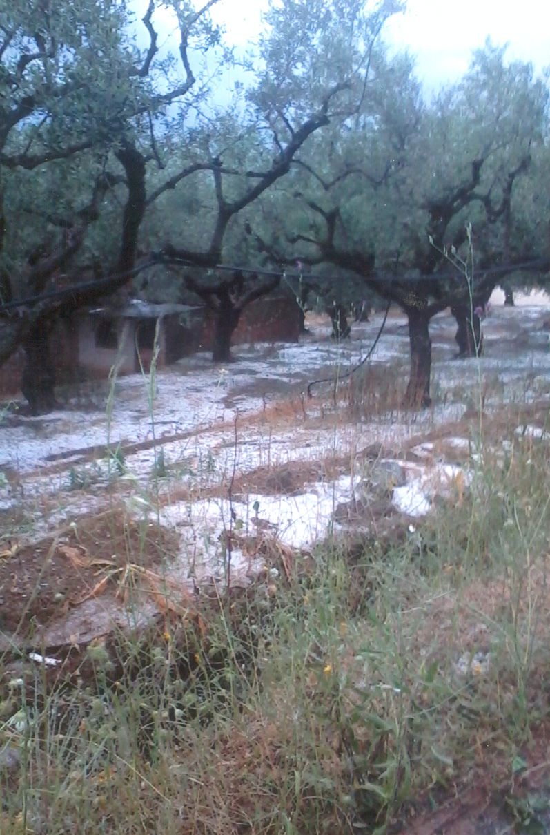 Πολλές ζημίες από το χαλάζι σε Μάνη, Καλαμάτα και Τριφυλία