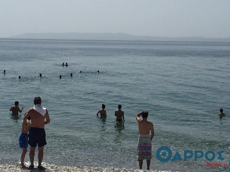 Απρόσμενος “επισκέπτης” στην παραλία της Σάντοβας…(φωτογραφίες)