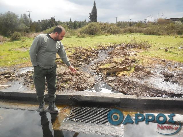 Ελέγχους το καλοκαίρι στα Πυρηνελαιουργεία…