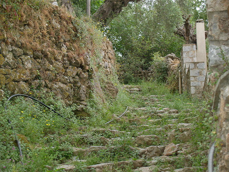 Ψηλότερα ο πήχυς της πολιτιστικής της ανάπτυξης στην Βέργα