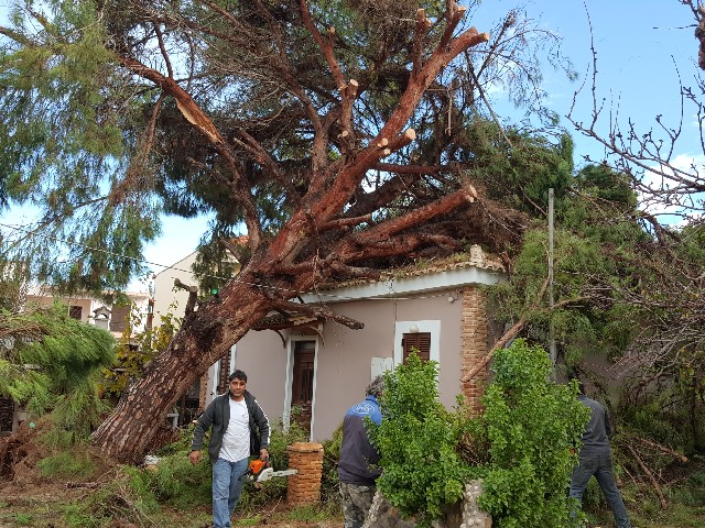 Ανεμοστρόβιλος στα Φιλιατρά σάρωσε τα πάντα προκαλώντας σοβαρές ζημιές… (φωτογραφίες)