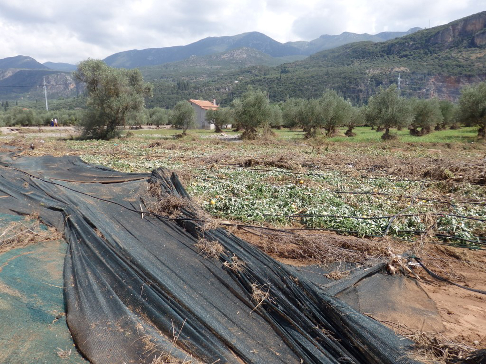 «Πακέτο» για τις αγροτικές ζημιές από την κακοκαιρία