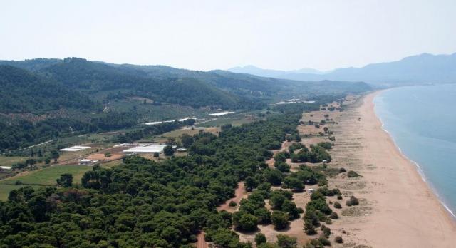 Απόλυτη σιωπή του Δήμου Τριφυλίας  για την καταδίκη στο Ευρωπαϊκό Δικαστήριο…