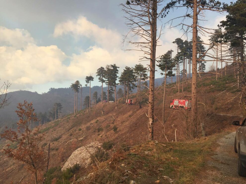 Υπό μερικό έλεγχο η φωτιά στον Ταΰγετο (φωτογραφίες & βίντεο)