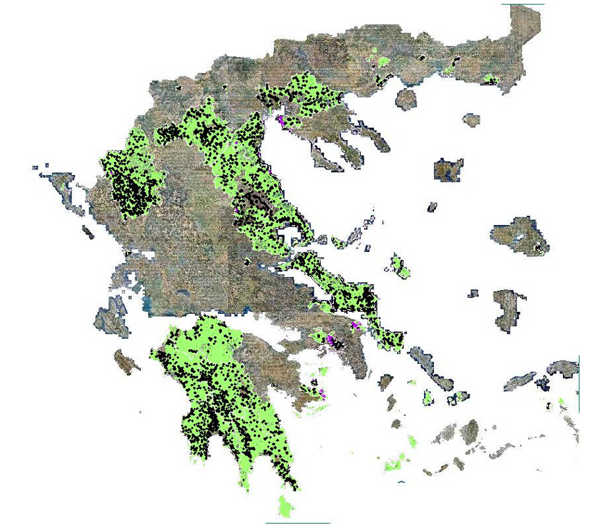 Στη Μεσσηνία οι περισσότερες αντιρρήσεις για τους δασικούς χάρτες