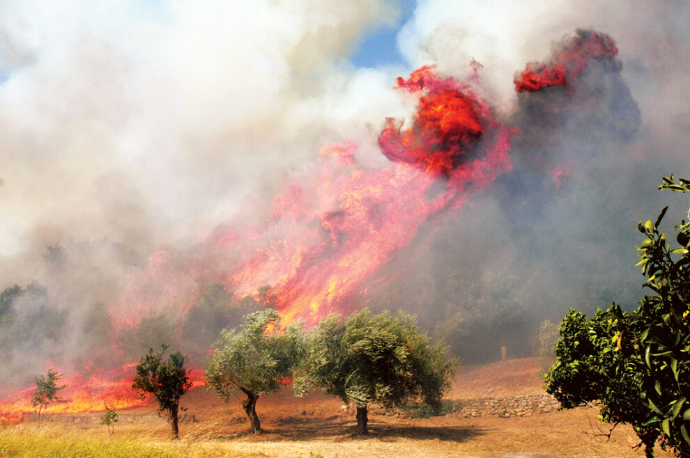 «Φωτιές» ανάβουν οι δασικοί χάρτες στη Μεσσηνία