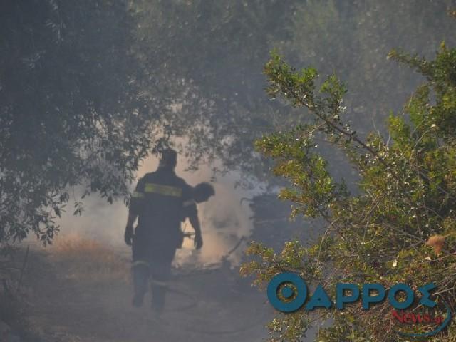 Θέλει σχέδιο η πυροπροστασία στο Δήμο Δυτικής Μάνης , πριν είναι αργά