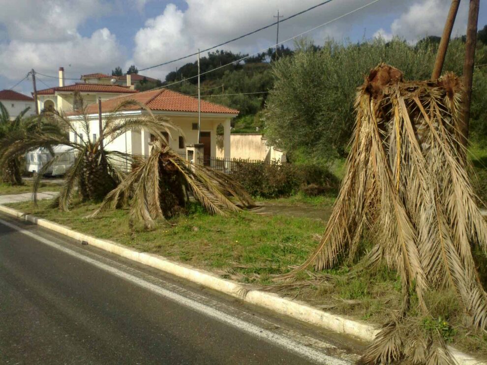 Εικόνες ντροπής στη Φοινικούντα