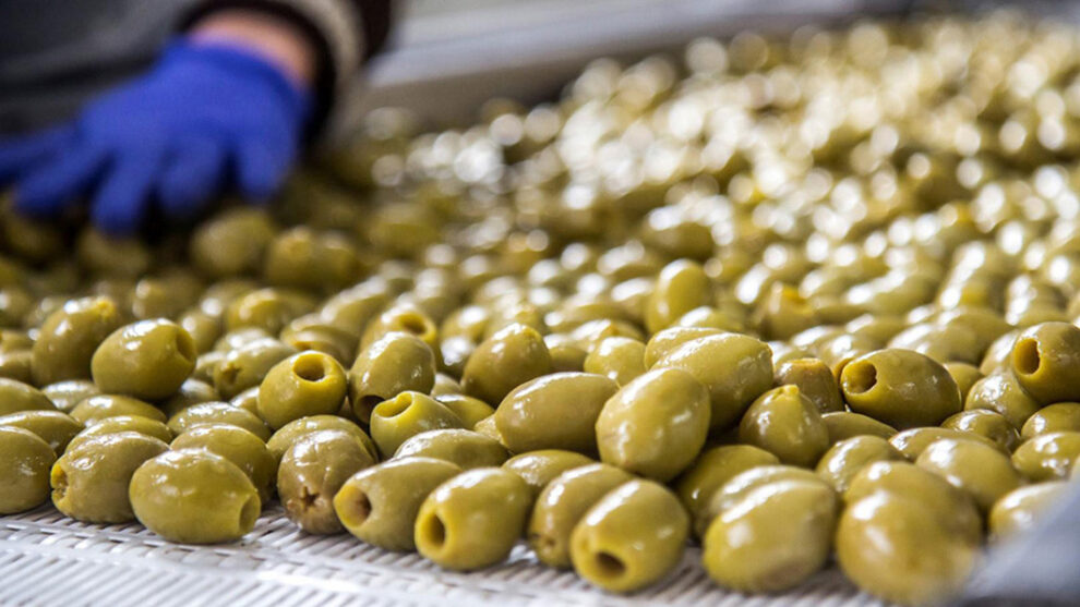 Αντιπροσωπεία της ισπανικής εταιρείας Global Olive στην Καλαμάτα