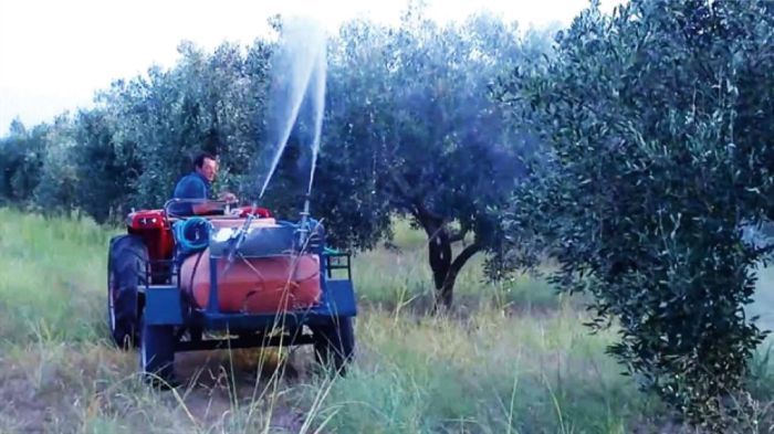 Κανείς δεν μπορεί να εγγυηθεί πότε ακριβώς θα ξεκινήσουν οι ψεκασμοί της δακοκτονίας