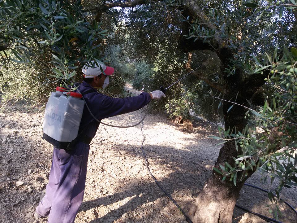 Μήνυση κατά παντός υπευθύνου για τη δακοκτονία