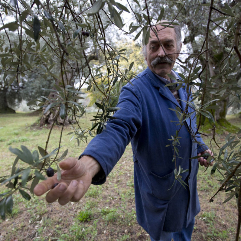 Ο τρόπος καλλιέργειας… βγάζει καλύτερο προϊόν