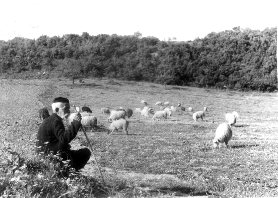 «ΘΑΡΡΟΣ» 10 Ιουνίου 1939: Κάτω Μέλπεια, ένα μαγευτικό τοπίο