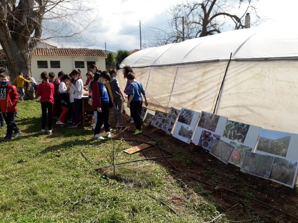 Σπορά στο 3ο Δημοτικό Σχολείο Φιλιατρών