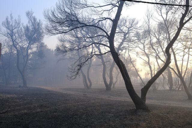 Τρέχουμε πάντα δεύτεροι, καταϊδρωμένοι και κατακαμένοι…