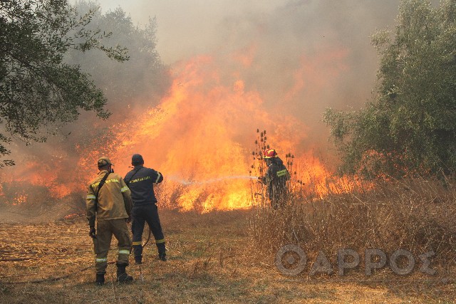 Πολύ υψηλός σήμερα  ο κίνδυνος πυρκαγιάς στη Μεσσηνία