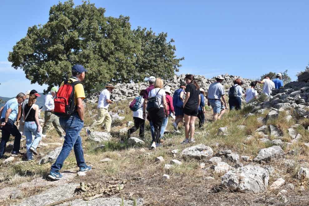 ΕΦ.Α. Μεσσηνίας: Μεγάλη ανταπόκριση είχαν οι «Πράσινες Πολιτιστικές Διαδρομές 2024»