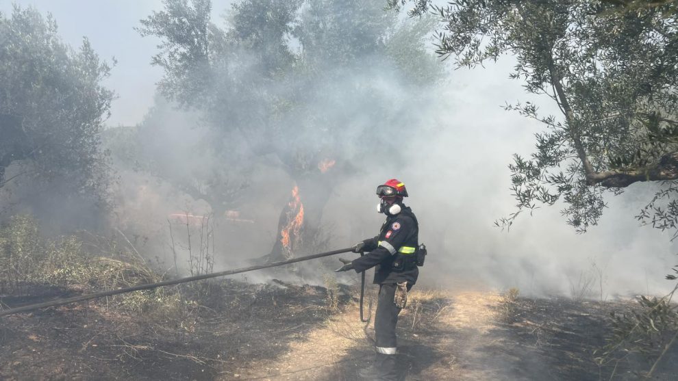 Εκδήλωση πυροπροστασίας την Κυριακή στο Αριοχώρι