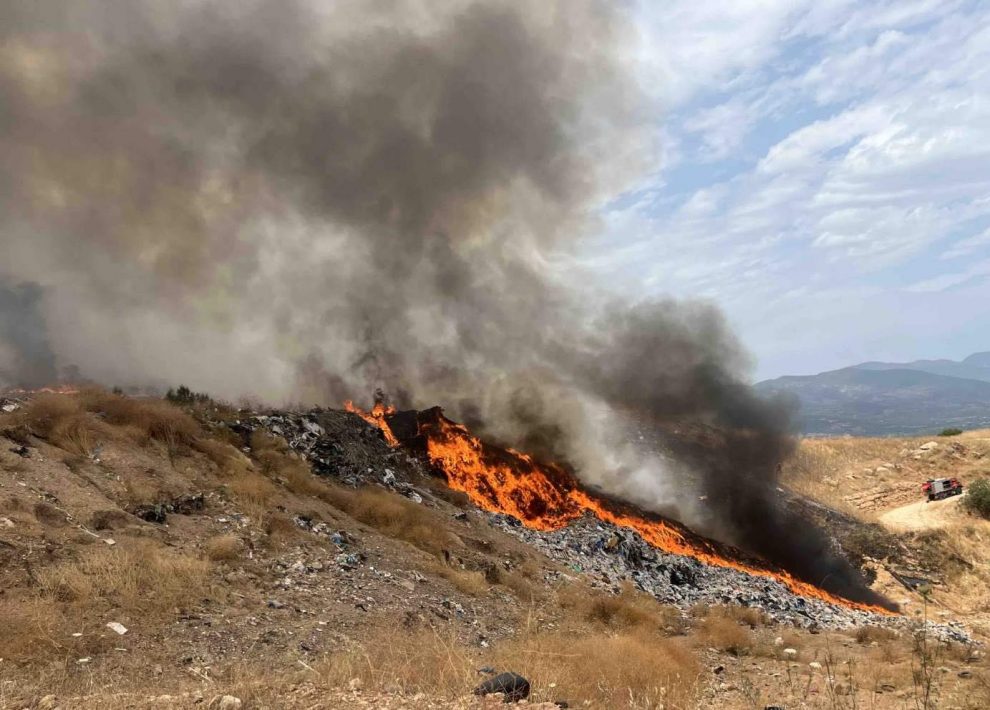 Φωτιά στο Αλιμάκι Κυπαρισσίας