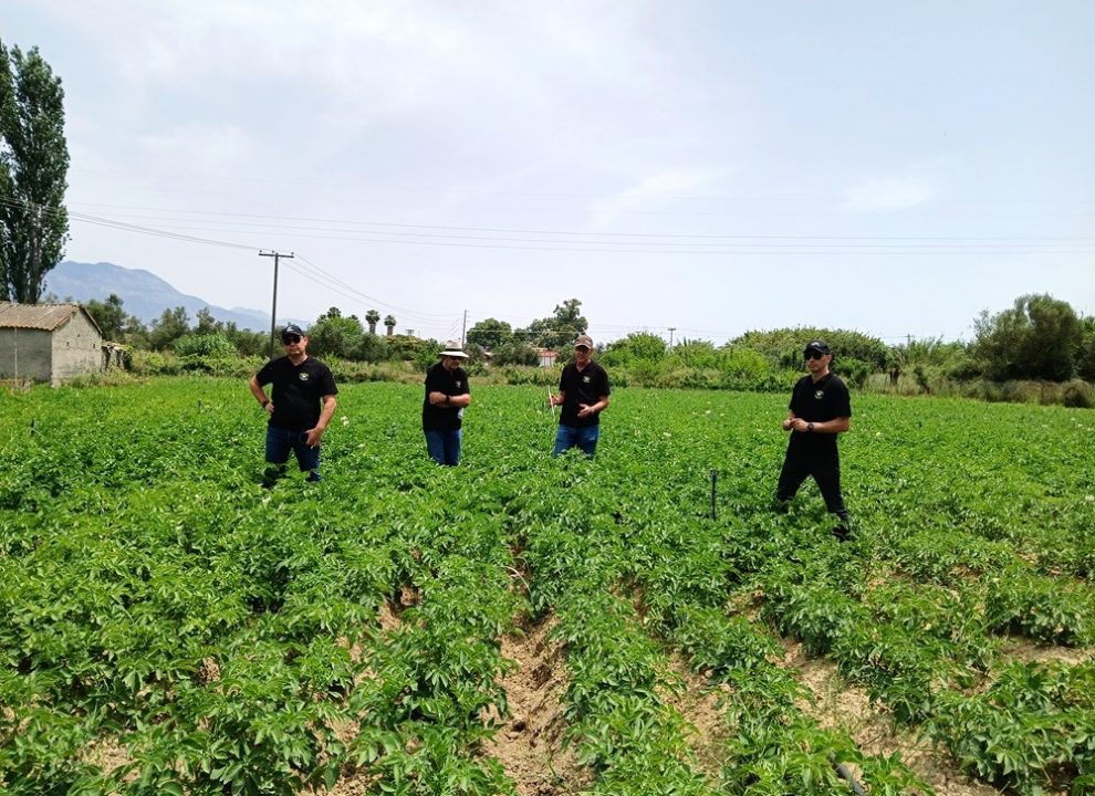 Πανεπιστήμιο Πελοποννήσου: Το Τμήμα Γεωπονίας φύτεψε «πατάτες  για καλό σκοπό» στον Αντικάλαμο