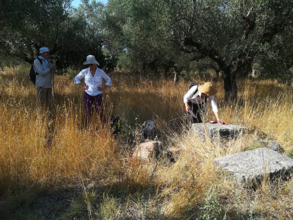 Συνεχίζονται οι ανασκαφές στη στενυκλαρική πεδιάδα της Άνω Μεσσηνίας