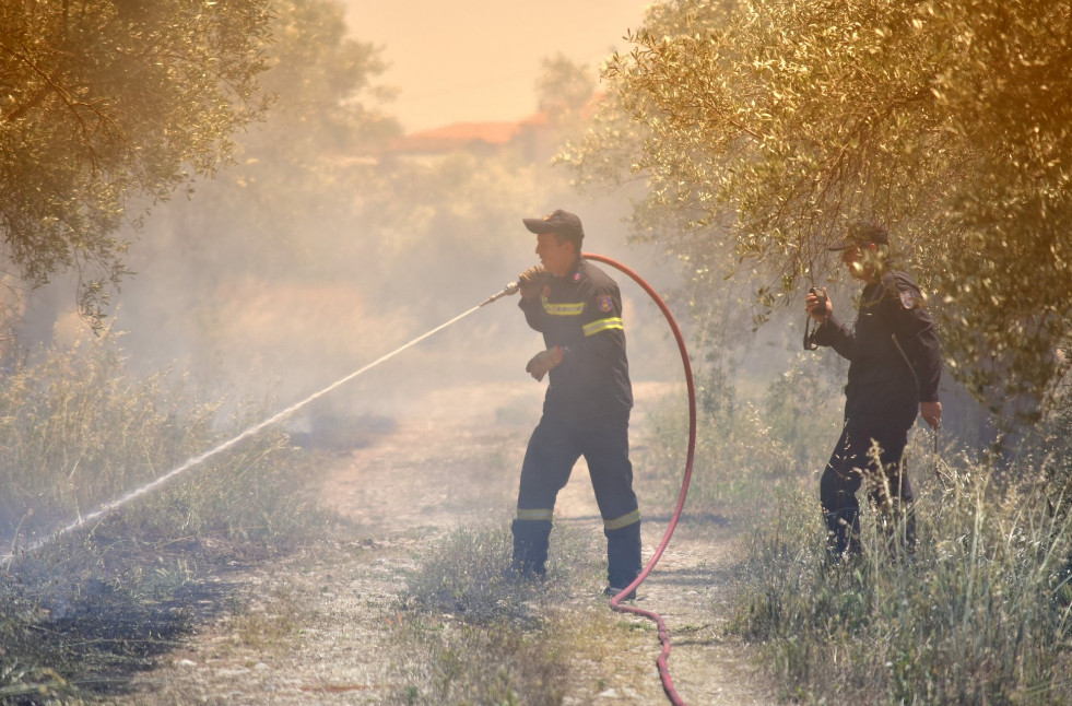 Δασολόγοι: Τα μέτρα πυροπροστασίας συγκρούονται με τη δασική νομοθεσία