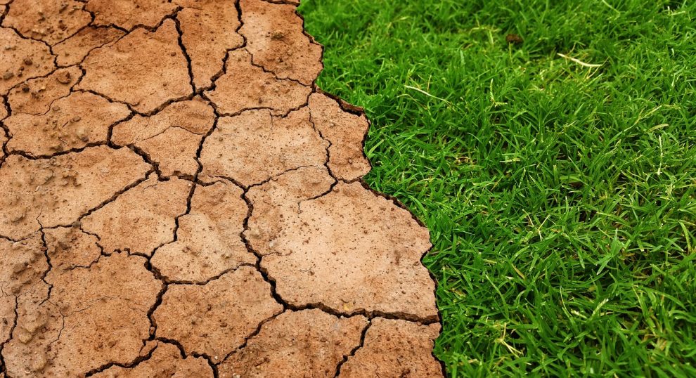 Καλαμάτα: Ημερίδα αύριο για «Προσαρμογή της Περιφέρειας  Πελοποννήσου στην Κλιματική Αλλαγή»