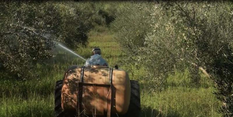 Αναστασόπουλος για δακοκτονία: «Στόχος η βελτίωση της αποτελεσματικότητας των δολωματικών ψεκασμών»