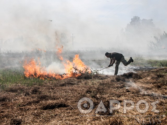 Yψηλός ο κίνδυνος πυρκαγιάς για σήμερα στη Μεσσηνία