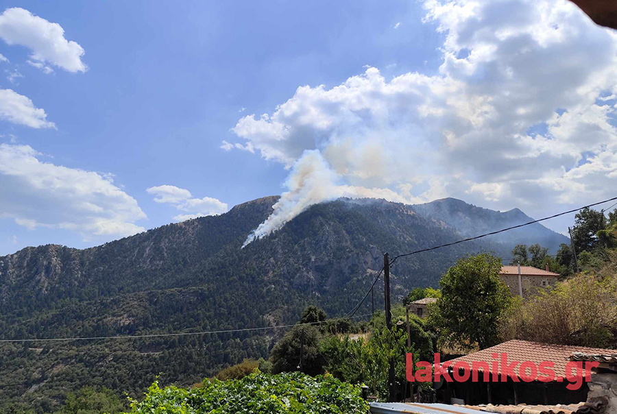 Φωτιά στη Σοχά Λακωνίας