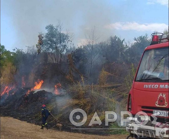 Υψηλός κίνδυνος πυρκαγιάς σήμερα στη Μεσσηνία