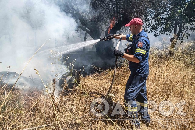 Υψηλός ο κίνδυνος πυρκαγιάς σήμερα στη Μεσσηνία