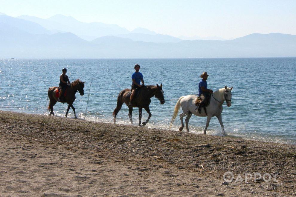 Θαλάσσια ιππασία στη Μεσσηνιακή ακτή: Γνωρίζοντας την Καλαμάτα… αλλιώς