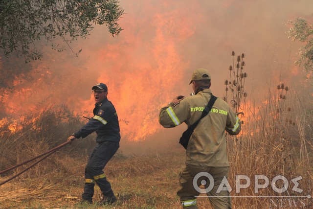 Οιχαλία: Πυρκαγιά σε αγροτοδασική έκταση στο Νεοχώρι