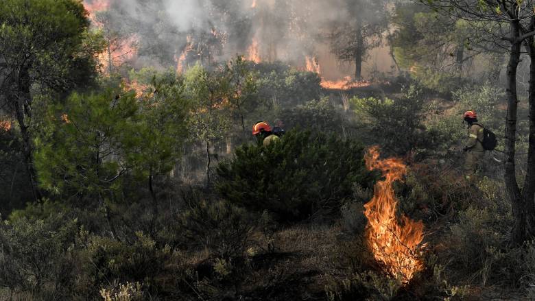 Διήμερο φόρουμ στη Μεσσήνη για την κλιματική κρίση και τις δασικές πυρκαγιές