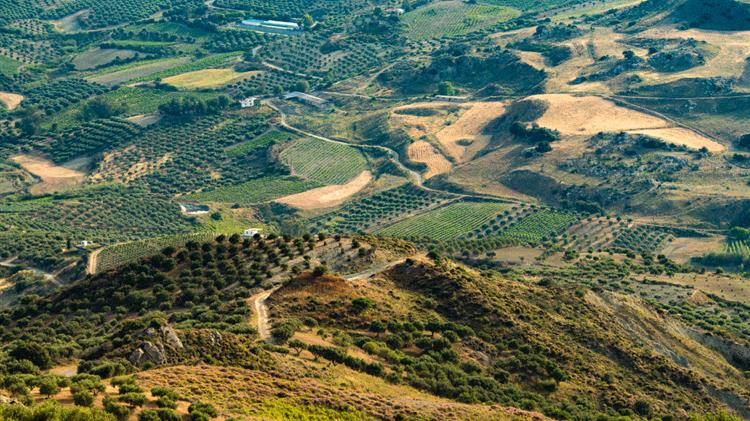 Θετικά εξελίσσεται η εξέταση  αντιρρήσεων στη Μεσσηνία